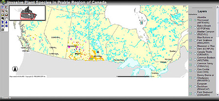 Prairie Region Invasive Plant Species Inventory and Map Display Site