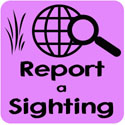 Report a sighting